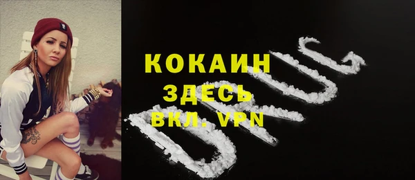 mdpv Козельск