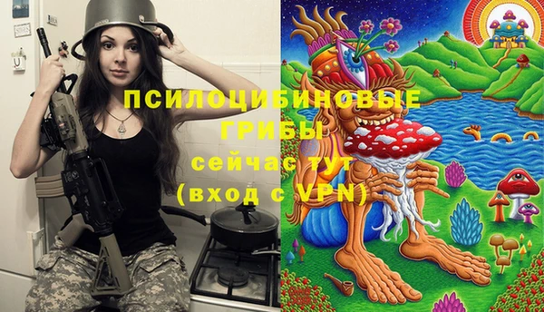 mdpv Козельск