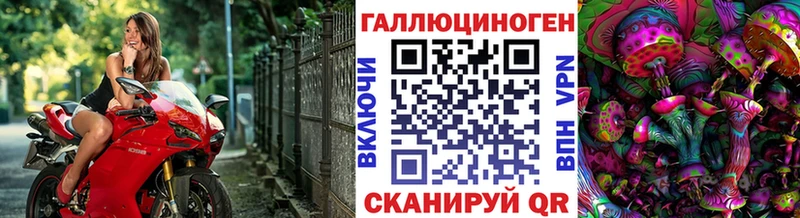 Купить закладки  Заволжье  Псилоцибиновые грибы мухоморы 